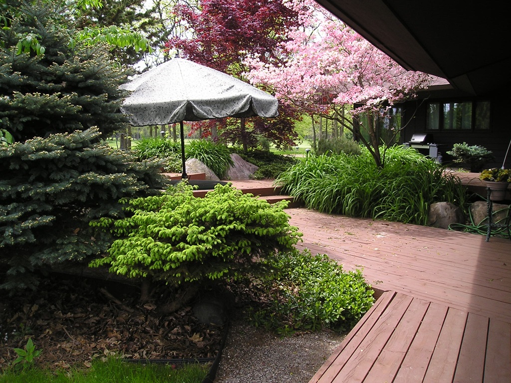 An image of a landscape