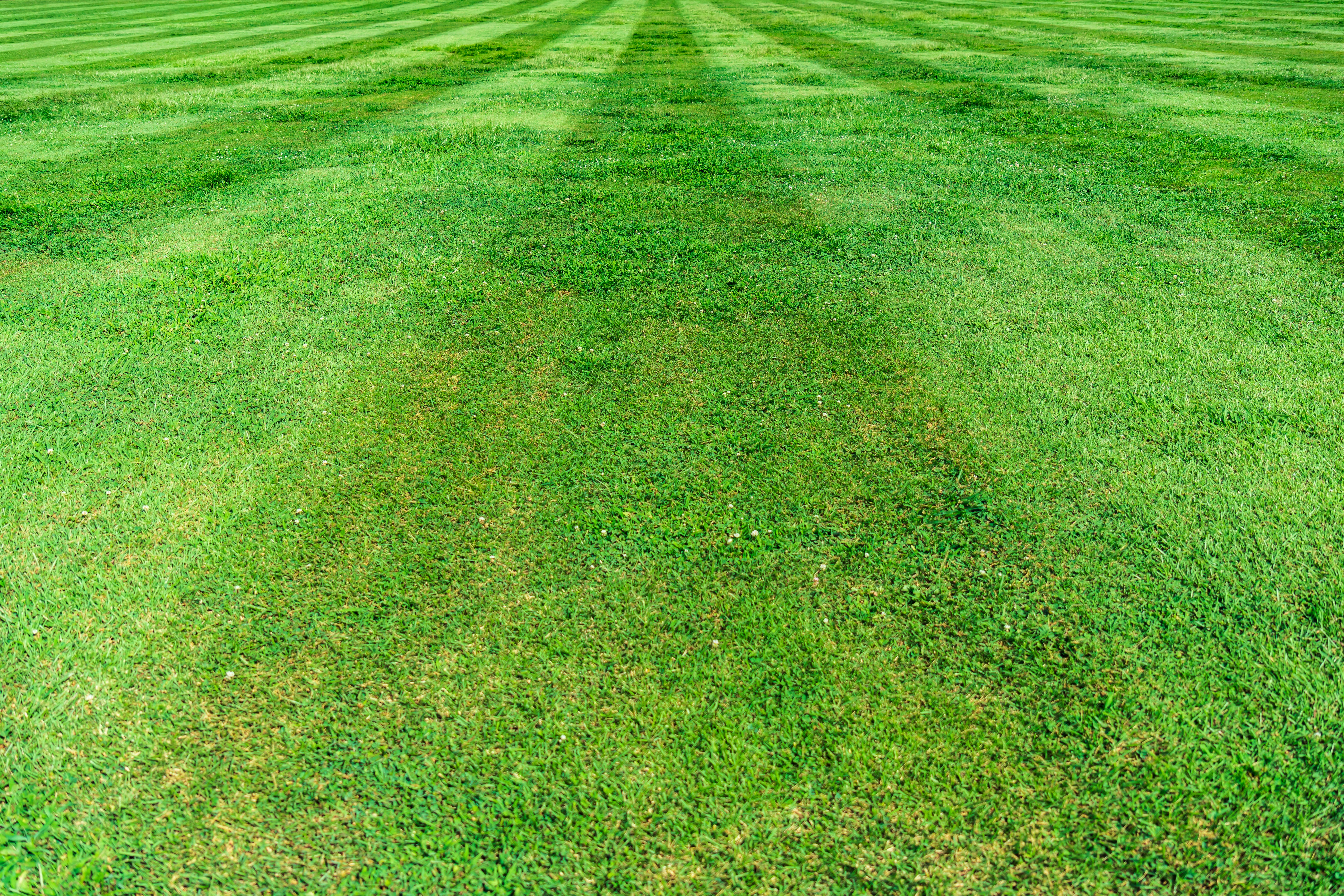 An image of a landscape