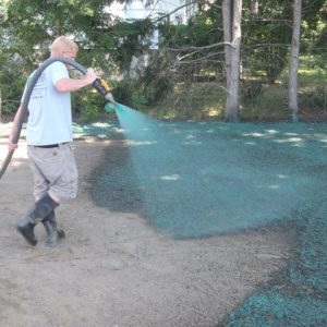 Grand Rapids Hydroseeding