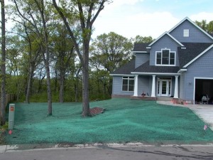 Lawn hydroseeding