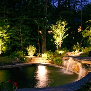 Landscape Lighting