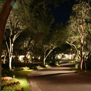 Landscape Lighting