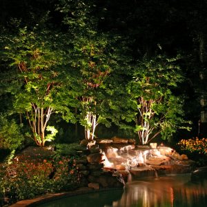 Landscape Lighting