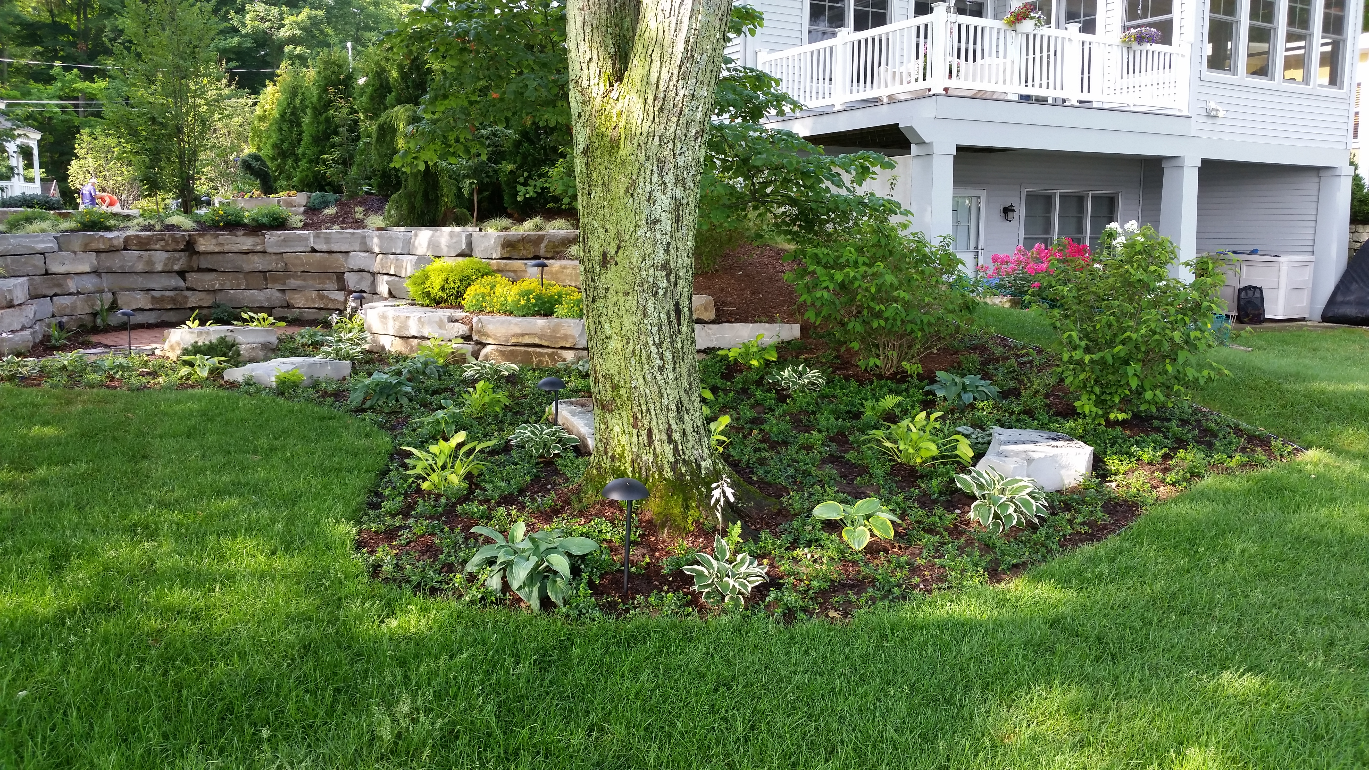 Landscape Plantings Trees Perennials Landscaping Grand Rapids Mi