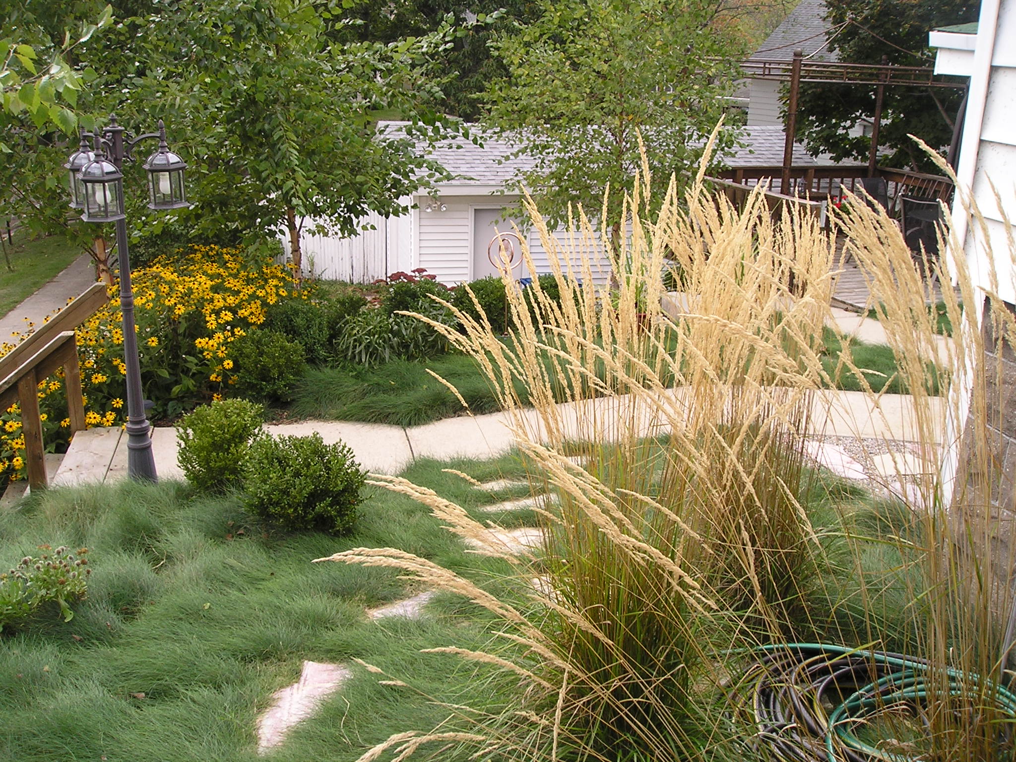 Landscape Plantings Outdoor Plants for Your Yard Clarks Landscape