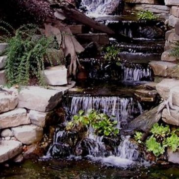 Designing Water Features and Hardscapes for a Backyard Retreat