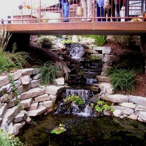 Pond and Waterfall