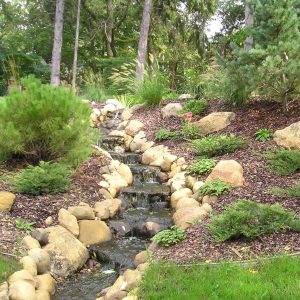 Stream