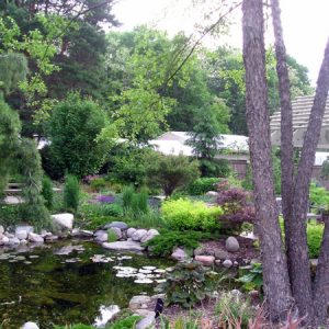 Pond landscape