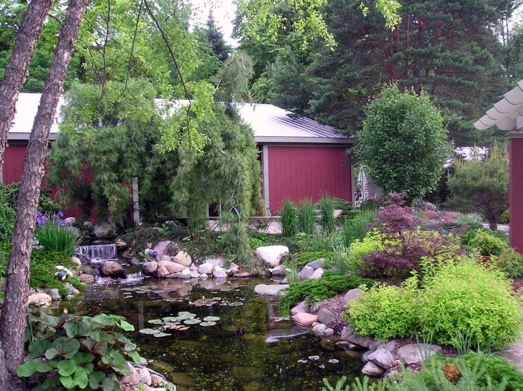 Pond landscape projects