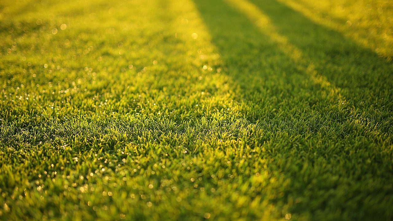 lawn services grand rapids mi