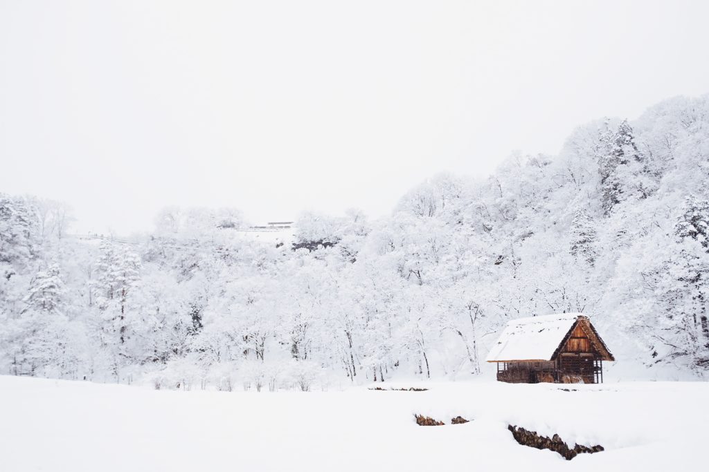 winter lawn care