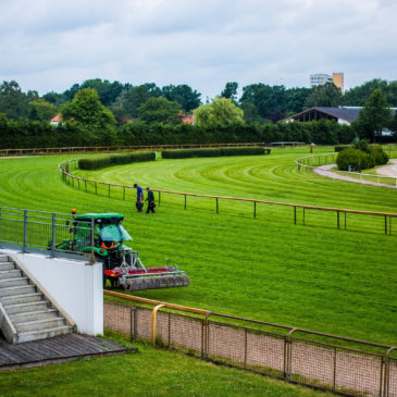 What Is The Difference Between Lawn Care & Landscaping