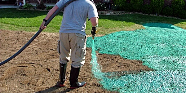 Hydroseed
