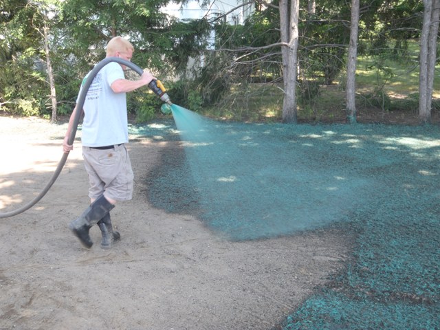 Hydroseed sprayer