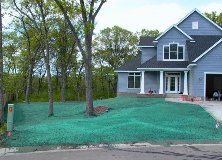 Hydroseeding After Results