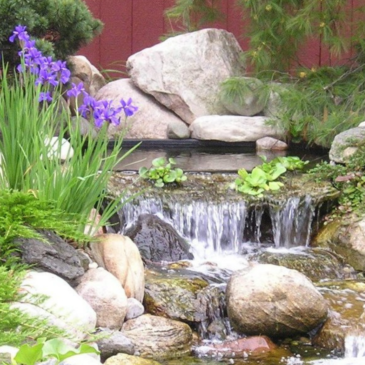 The Best Way to Maintain Your Landscape Water Features