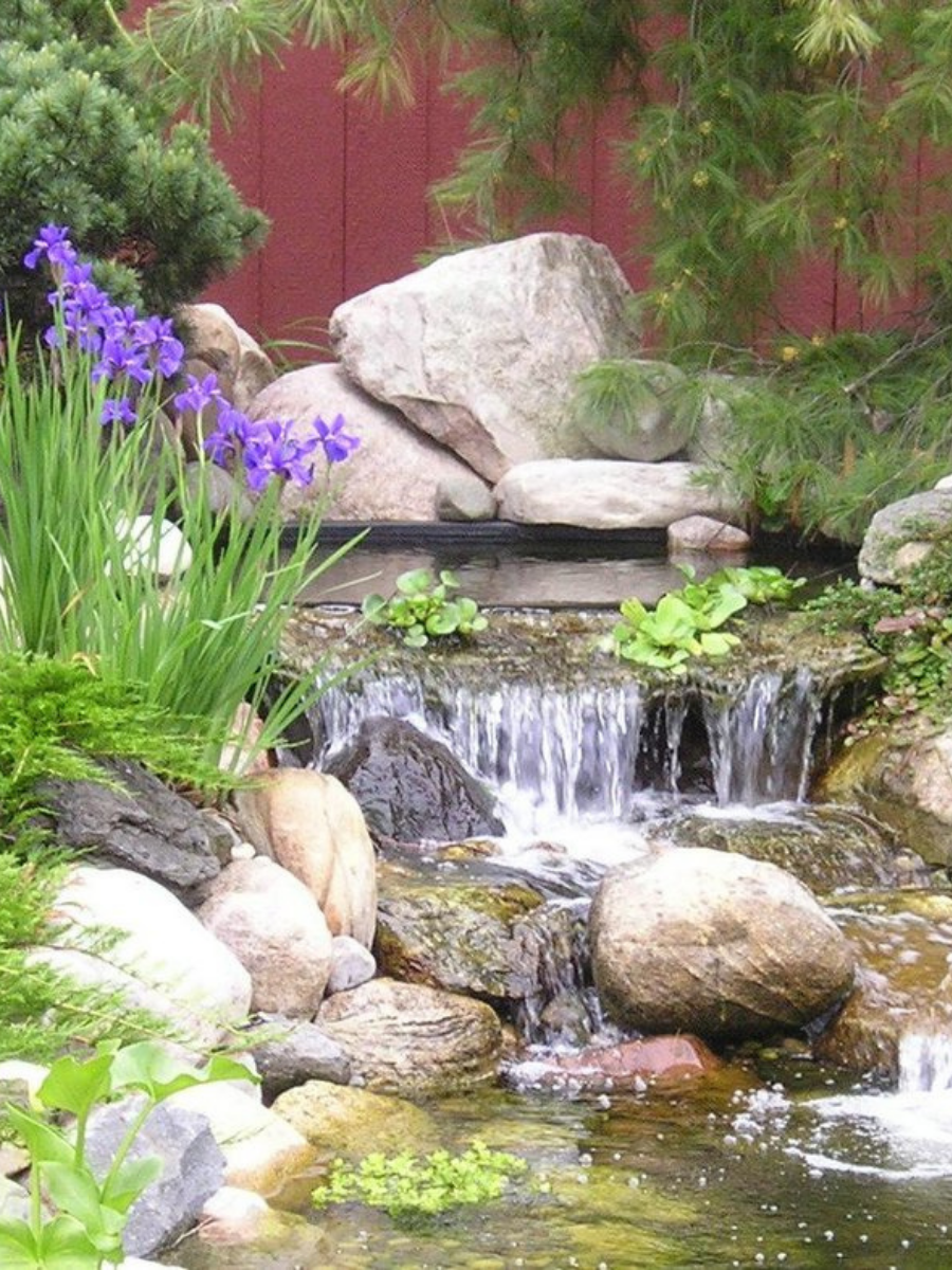 Best Way To Maintain Your Landscape Water Features Tips Clark's