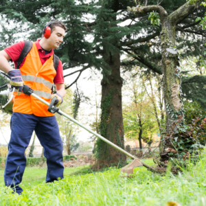 Garden Bed Maintenance