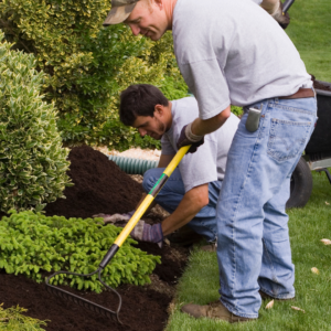 Garden Bed Maintenance