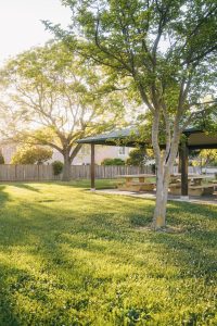 Lawn with trees, in background there is picnic benches under an open roof.