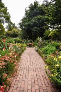 a brick path lined with flowers