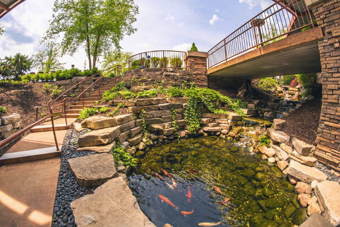 Water Features Landscaping
