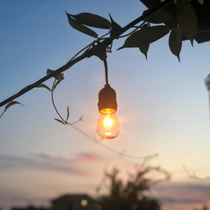 Landscape Lighting