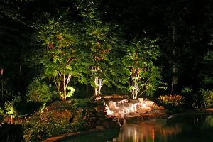 Clark's Landscaping Hardscapes Landscape Lighting