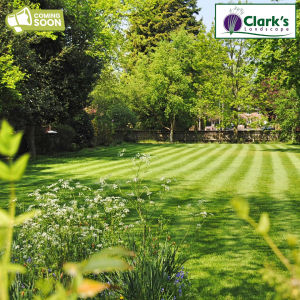 Lawn Care