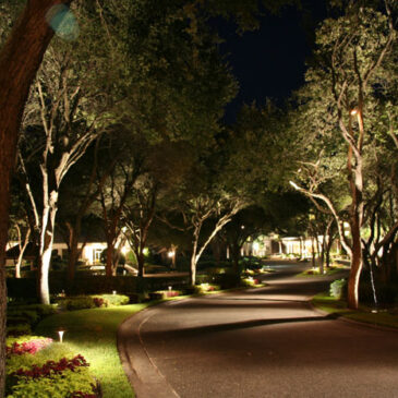 Landscape Lighting is Crucial in the Darker Months