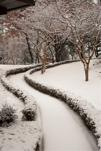 Custom Landscape Walkways