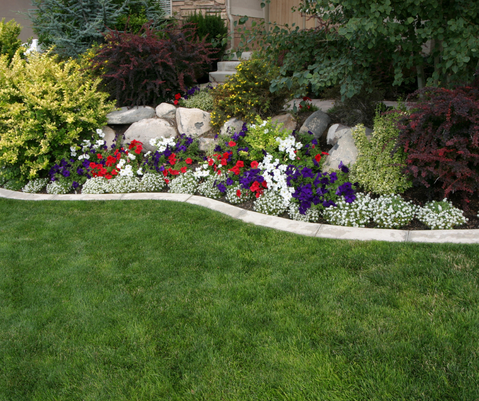 Landscape Plantings