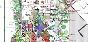 Clarks-Landscape-Plan-2-300×265 Landscape Design and Build