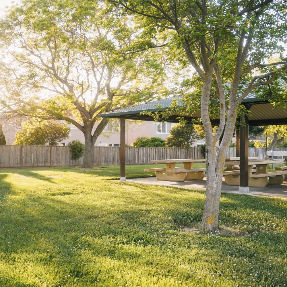 Lawn with trees, in background there is picnic benches under an open roof.