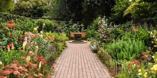 a brick path lined with flowers